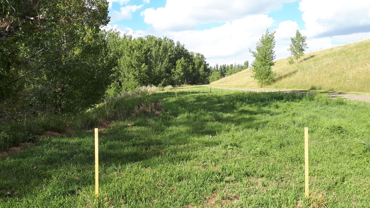 Hole 9 tee