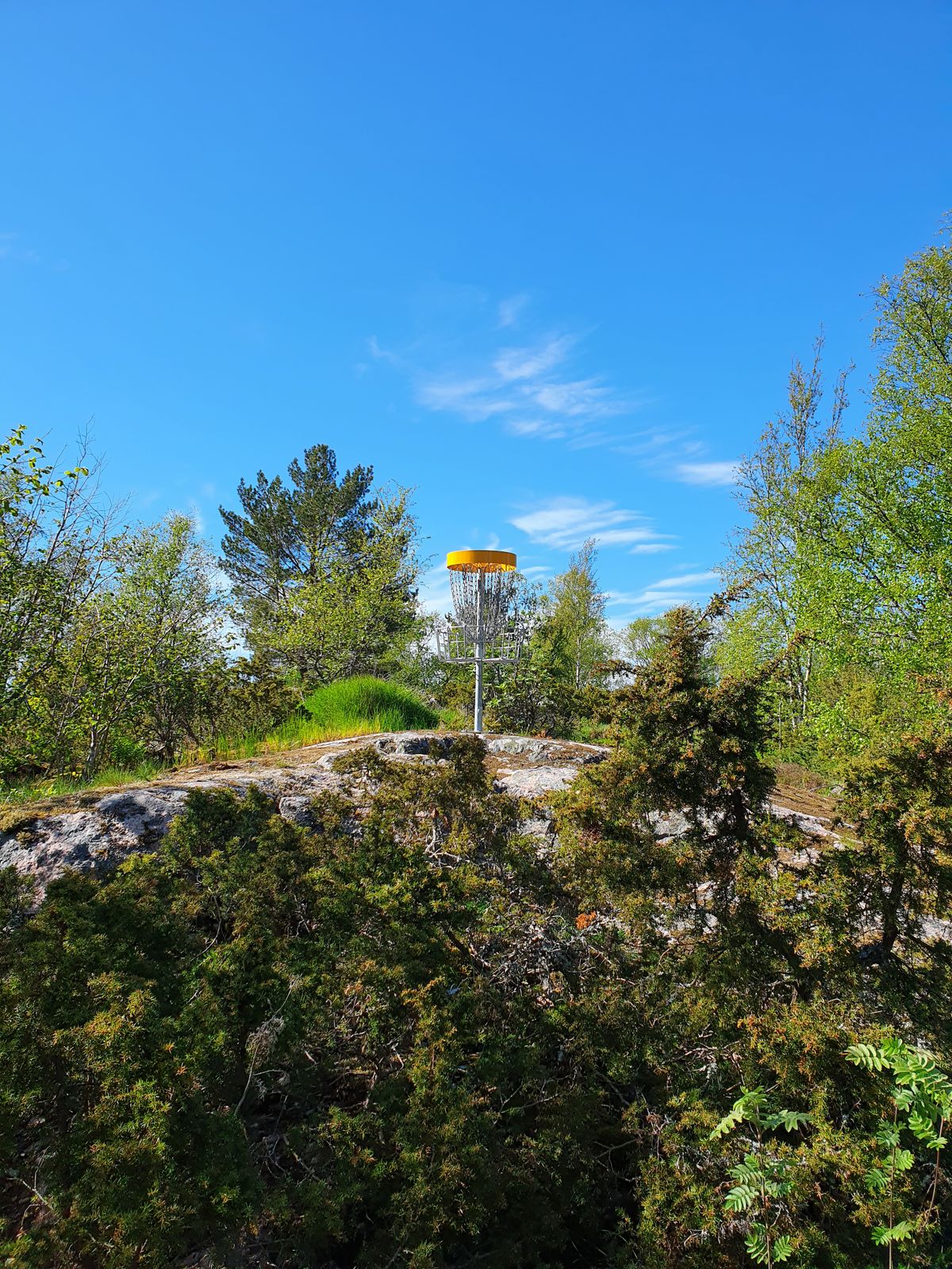 Basket at hole 2