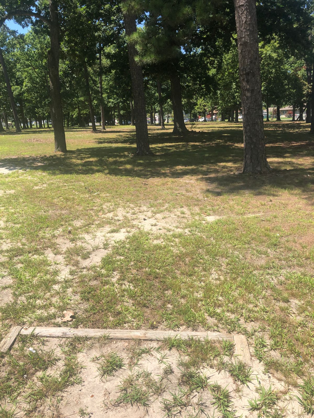 Tee box for hole 2.