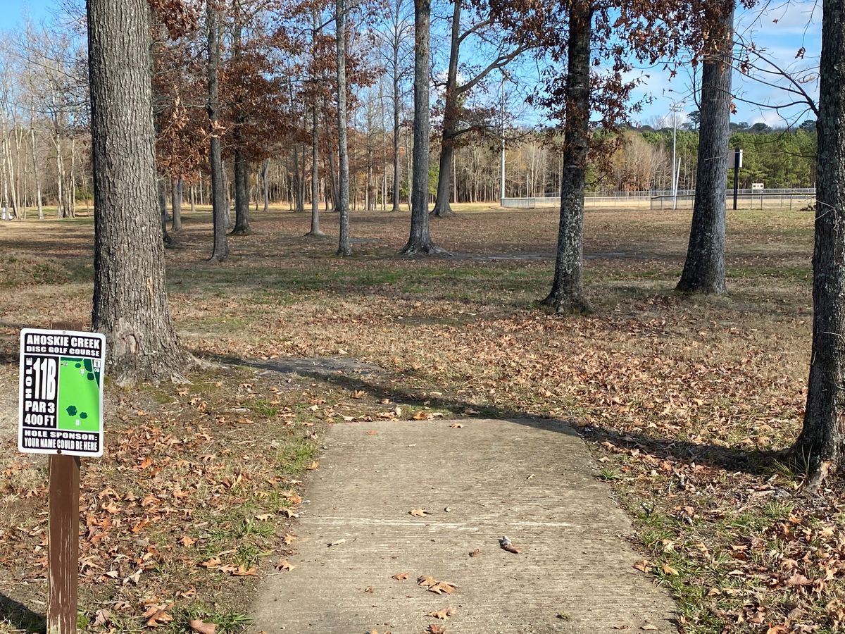Hole 11 short pad