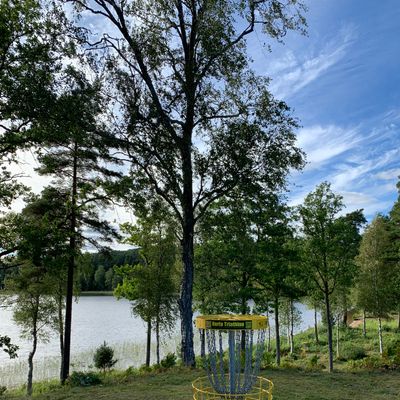 Basket of hole 4