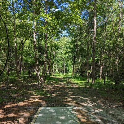 Hole 5 Alt Layout tee