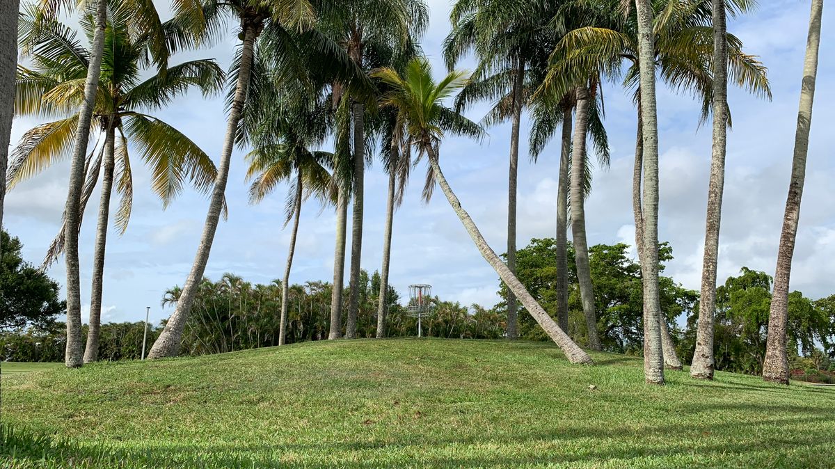 Hole 1