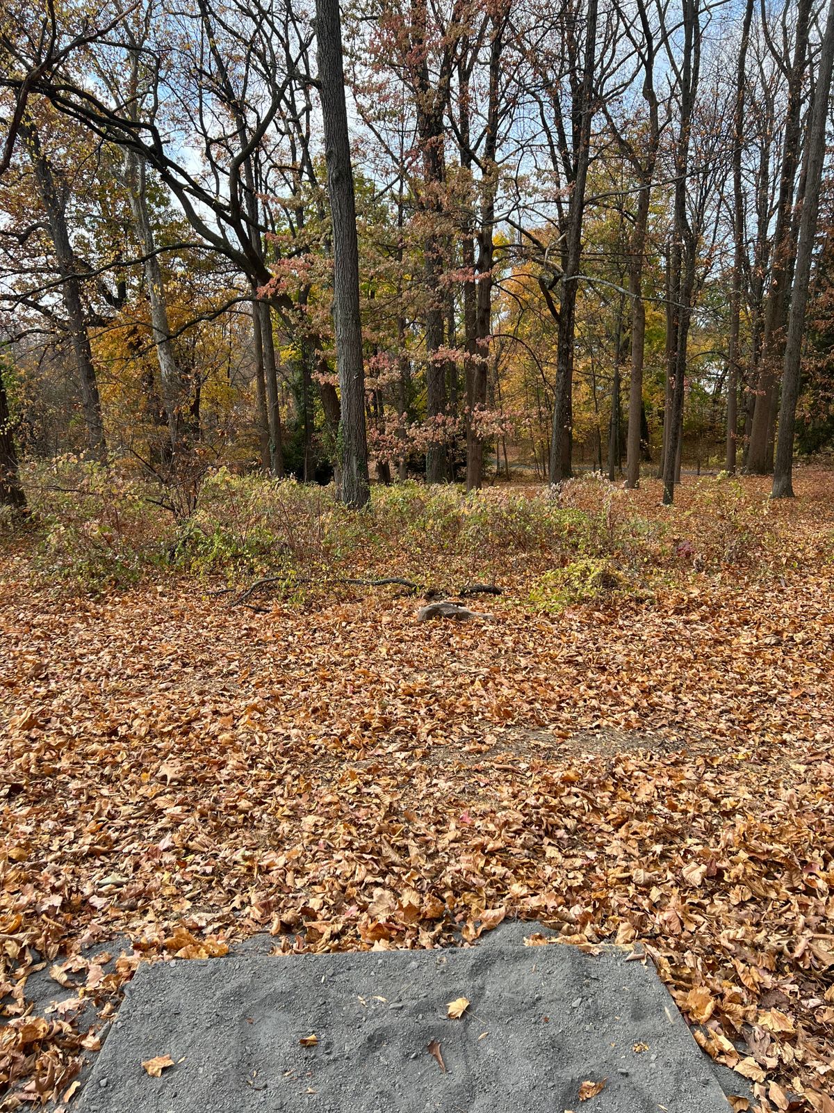 View from Hole 8’s Tee