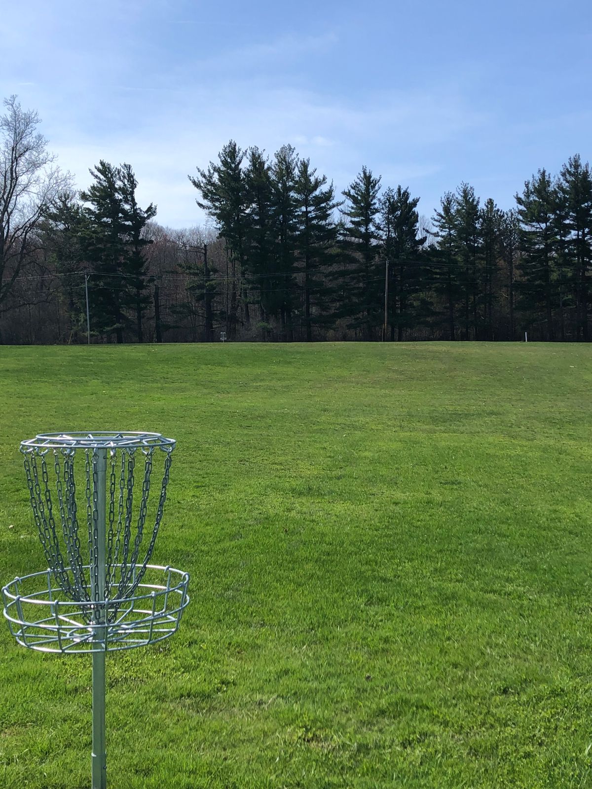 Hole 3 basket,  tee in background 435’