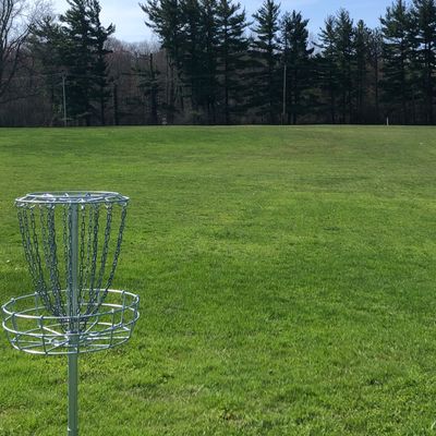 Hole 3 basket,  tee in background 435’