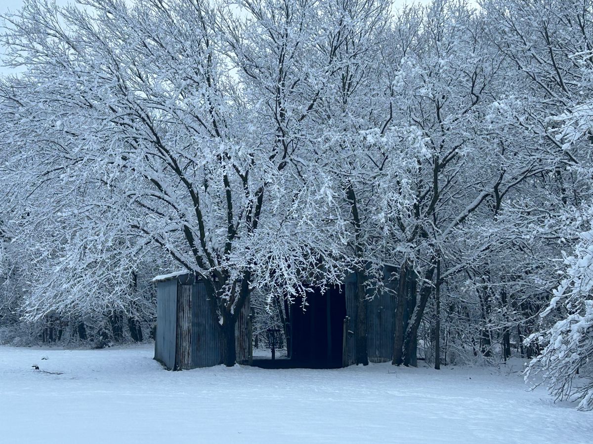 Hole #7 650' Par 4 look into Snowy barn basket