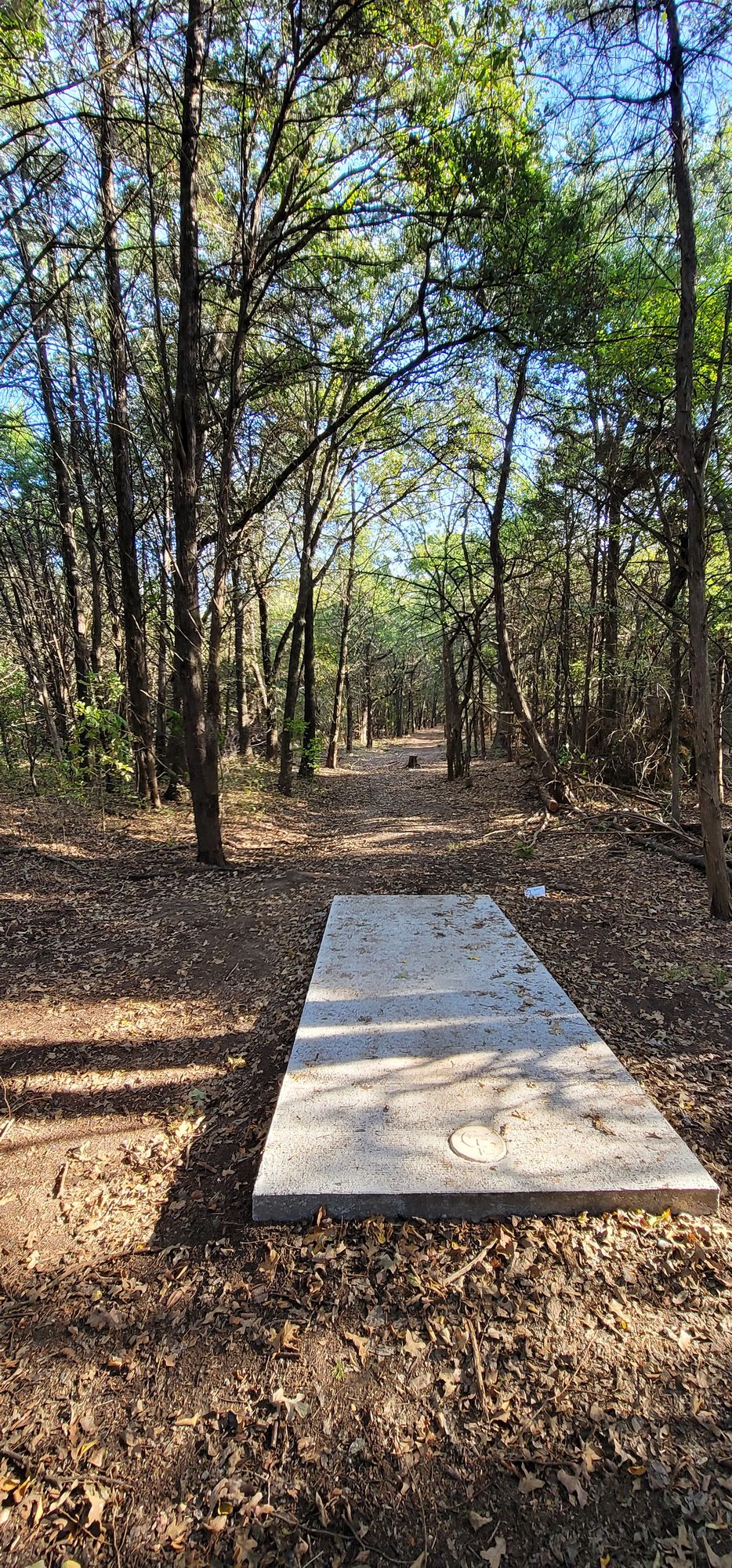 Hole 9 long tee