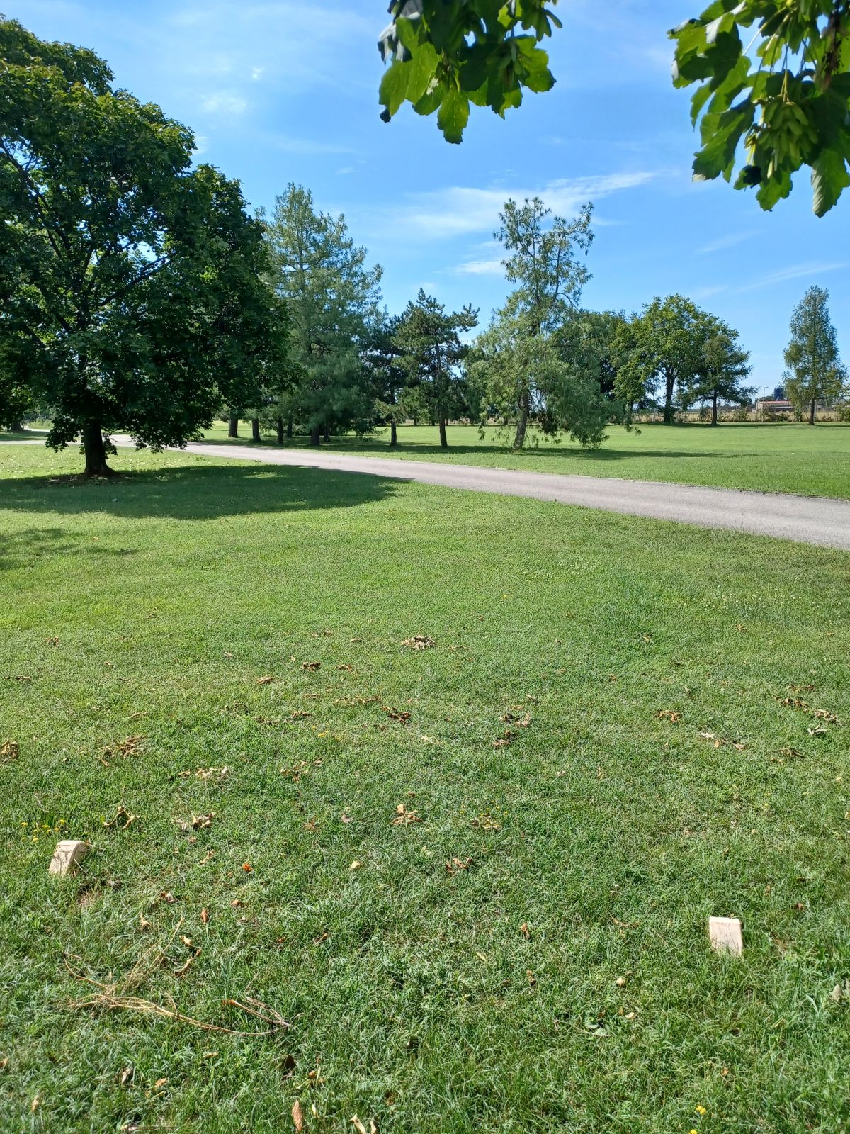 Hole 16