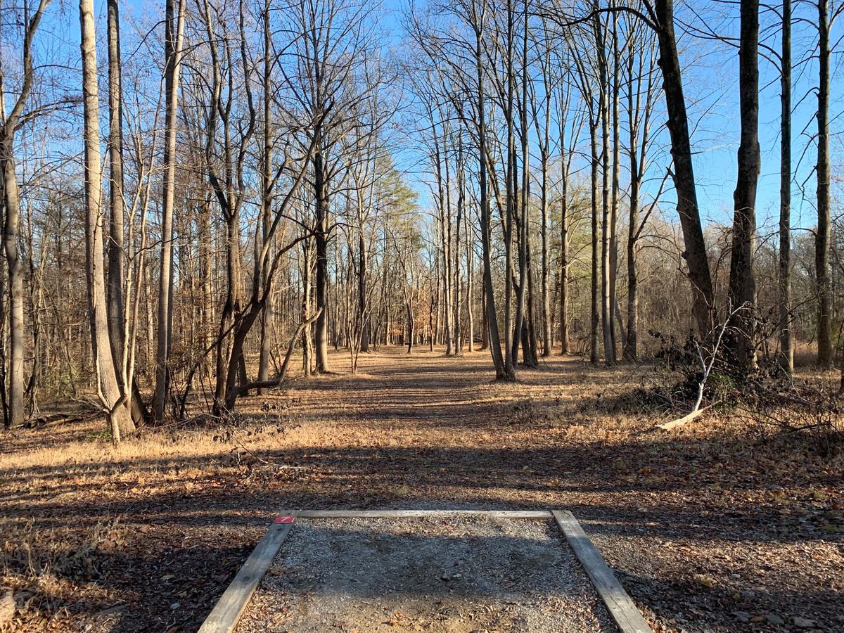 Hole 7 (short tee)