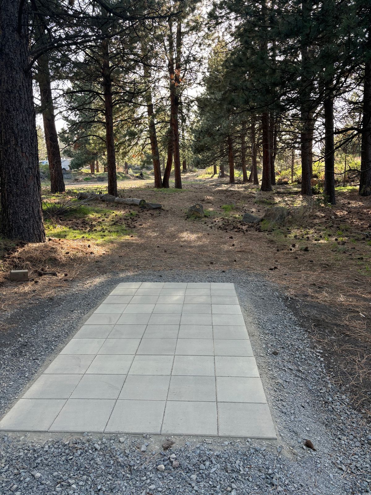 Hole 6 - New Tee Box