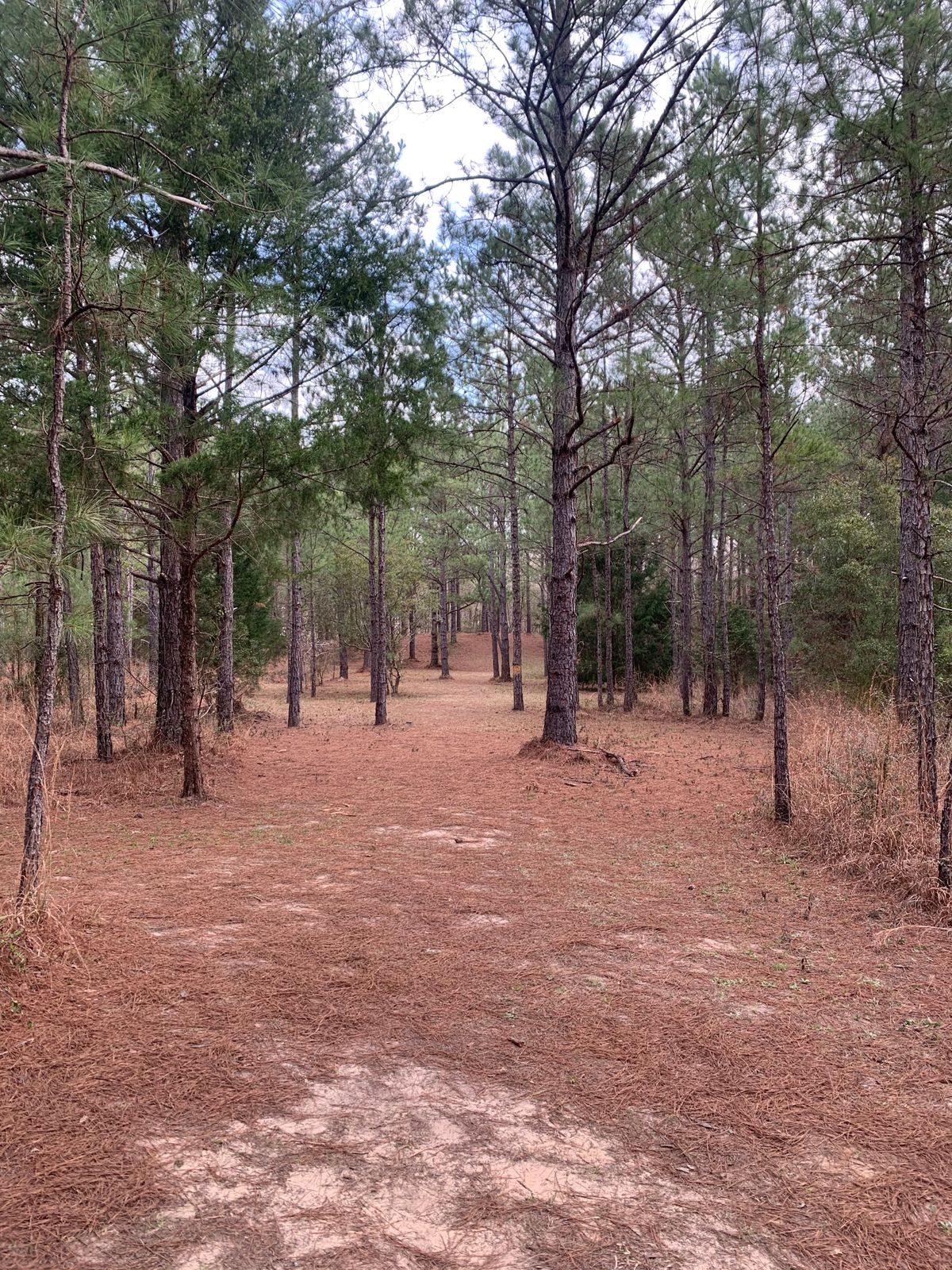 Hole 10