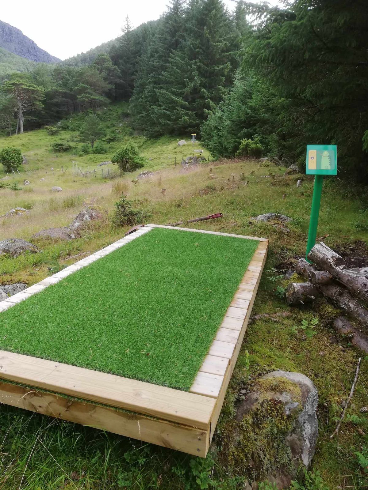 Tee 14