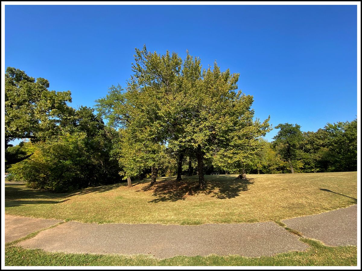 # 13 Tee - throwing northeast