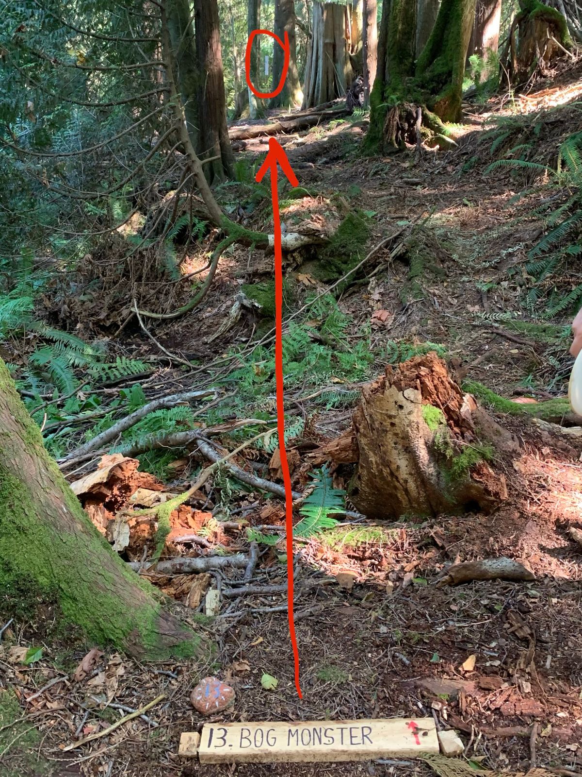 Hole 13: Bog Monster