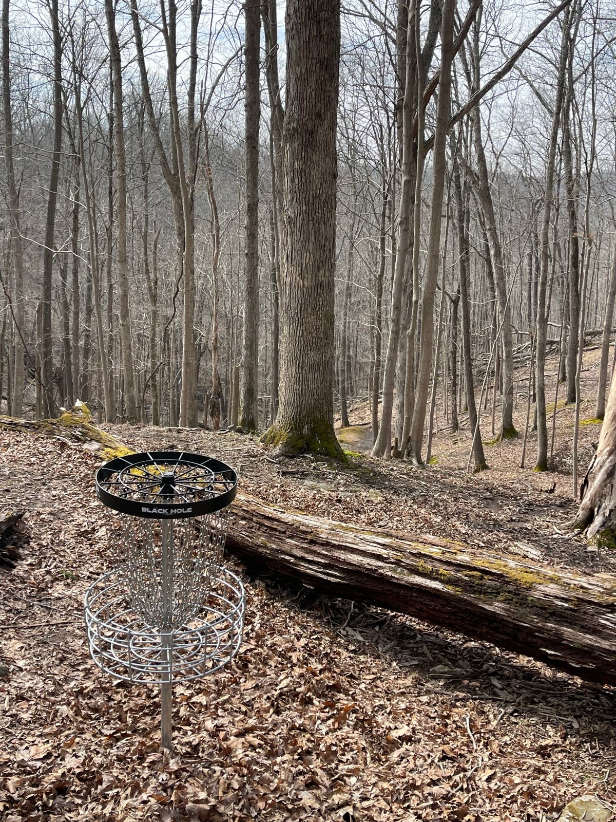 Hole 15 (Green)