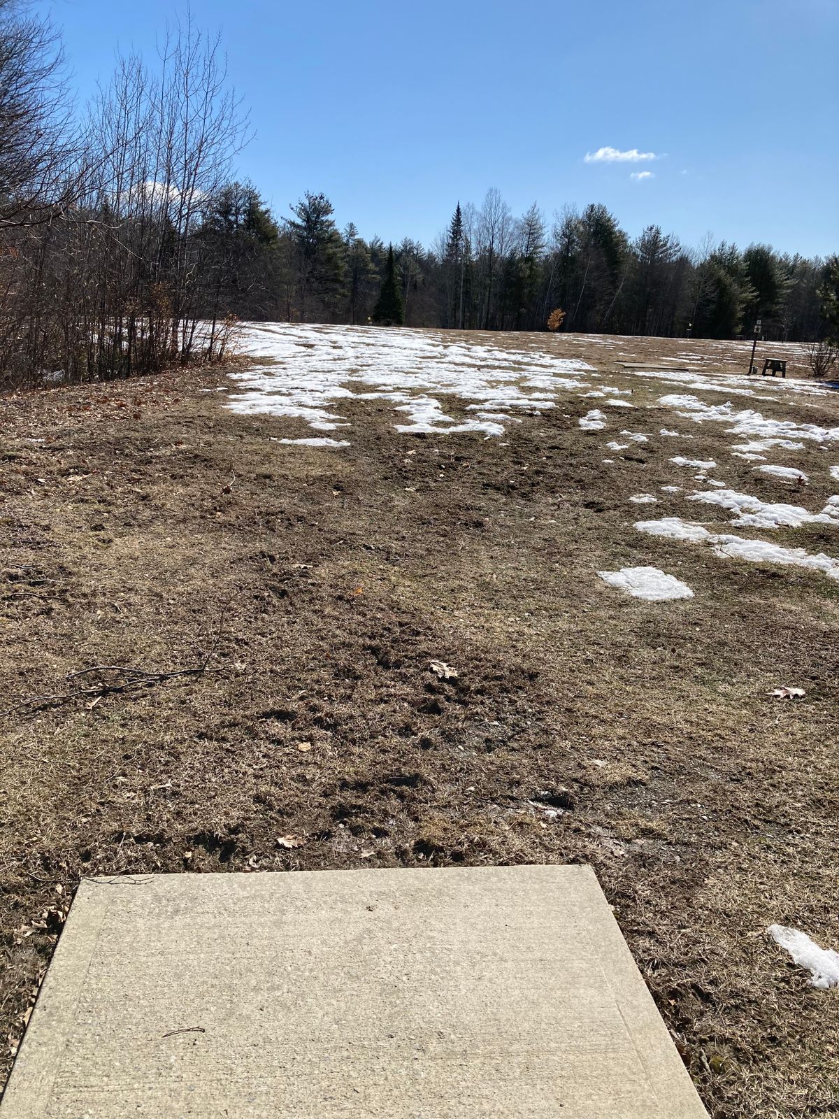 Concrete tee pads