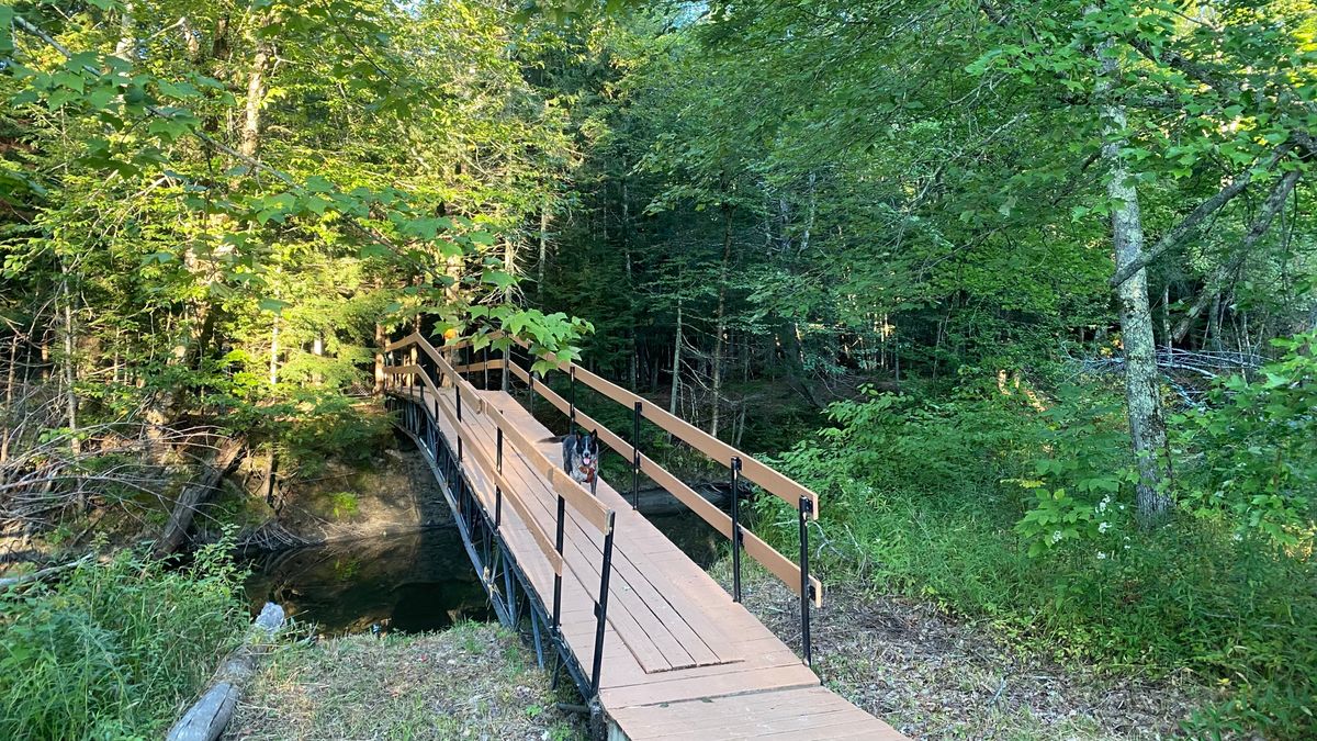 Bridge over the creek