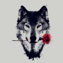 User avatar image