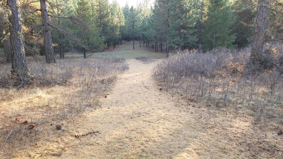 Tee pad hole 15