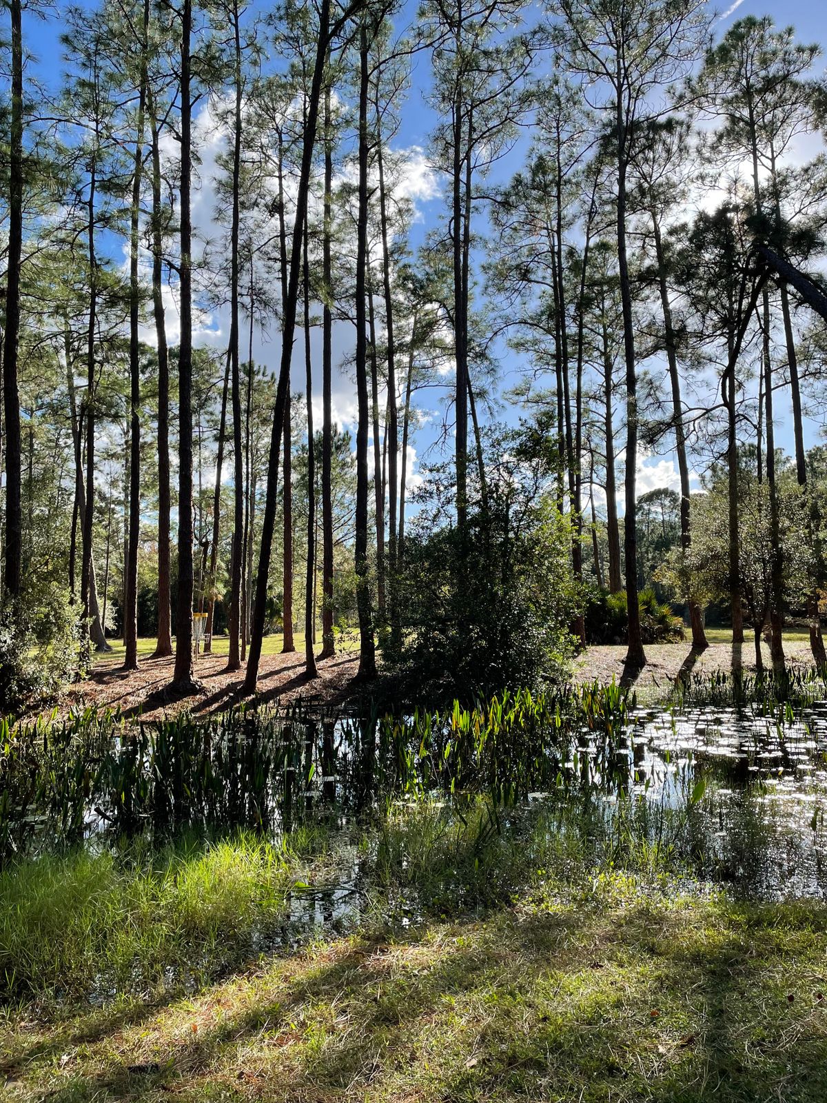 Hole 9