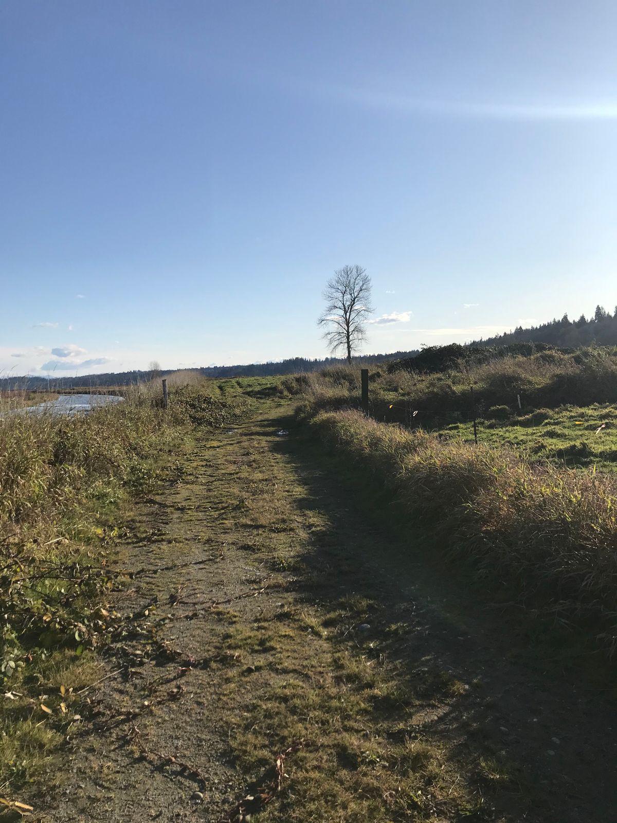 Hole 11