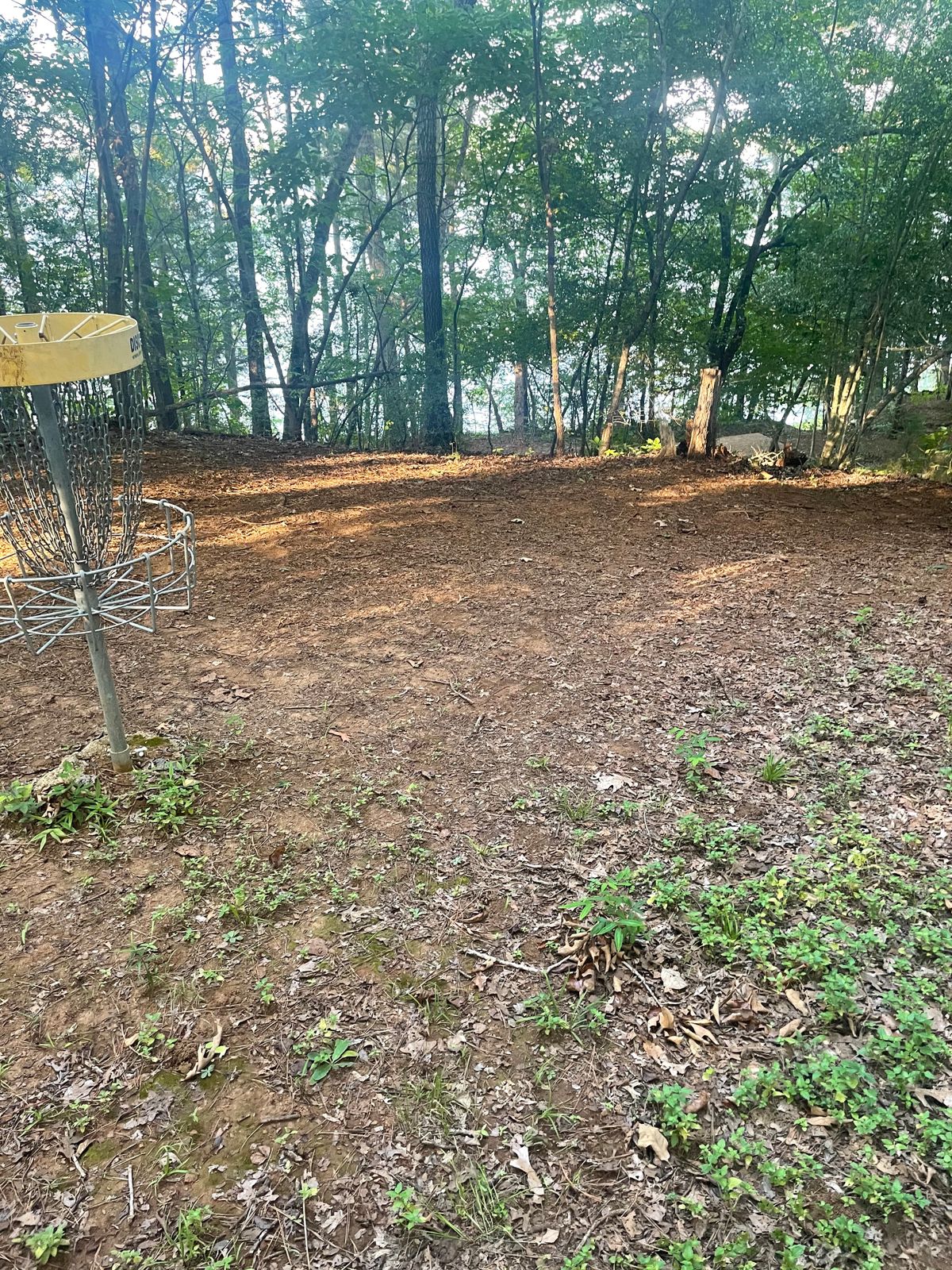 Finish from 16