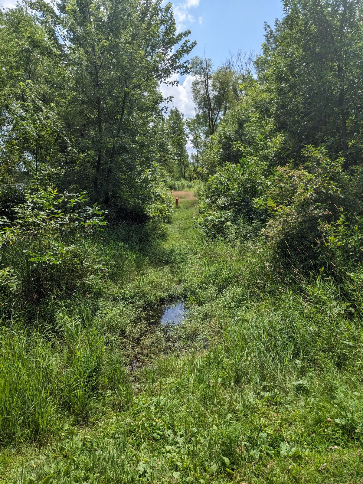 Unusable fairway on hole 8