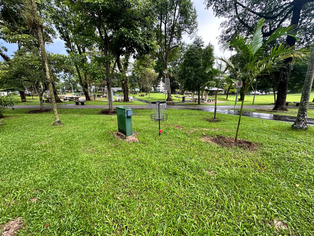 Hole 6 Basket
