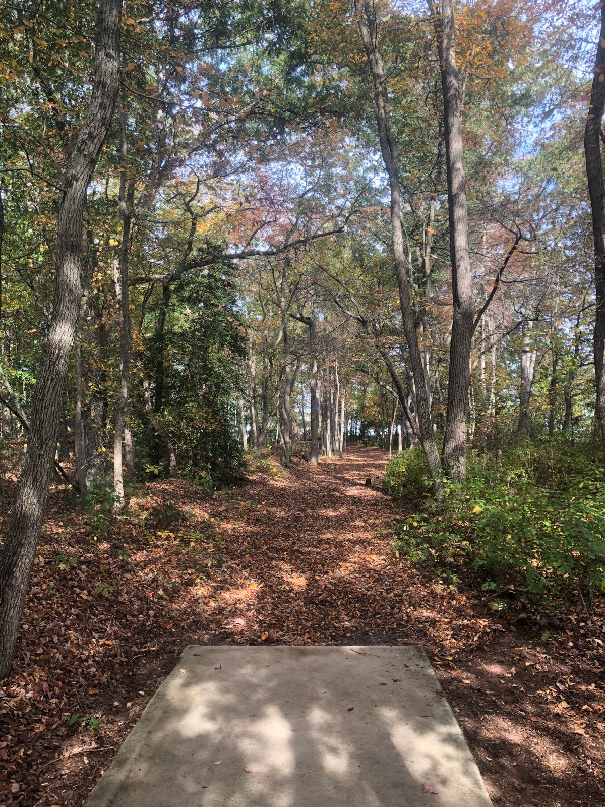 Hole 5 long tee