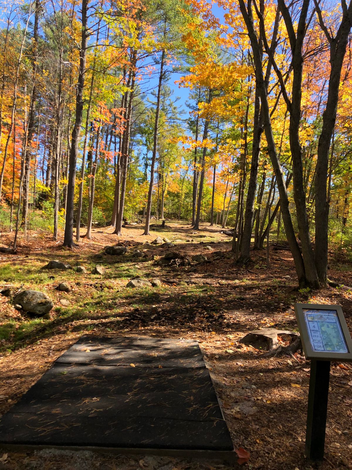 Hole 18 tee