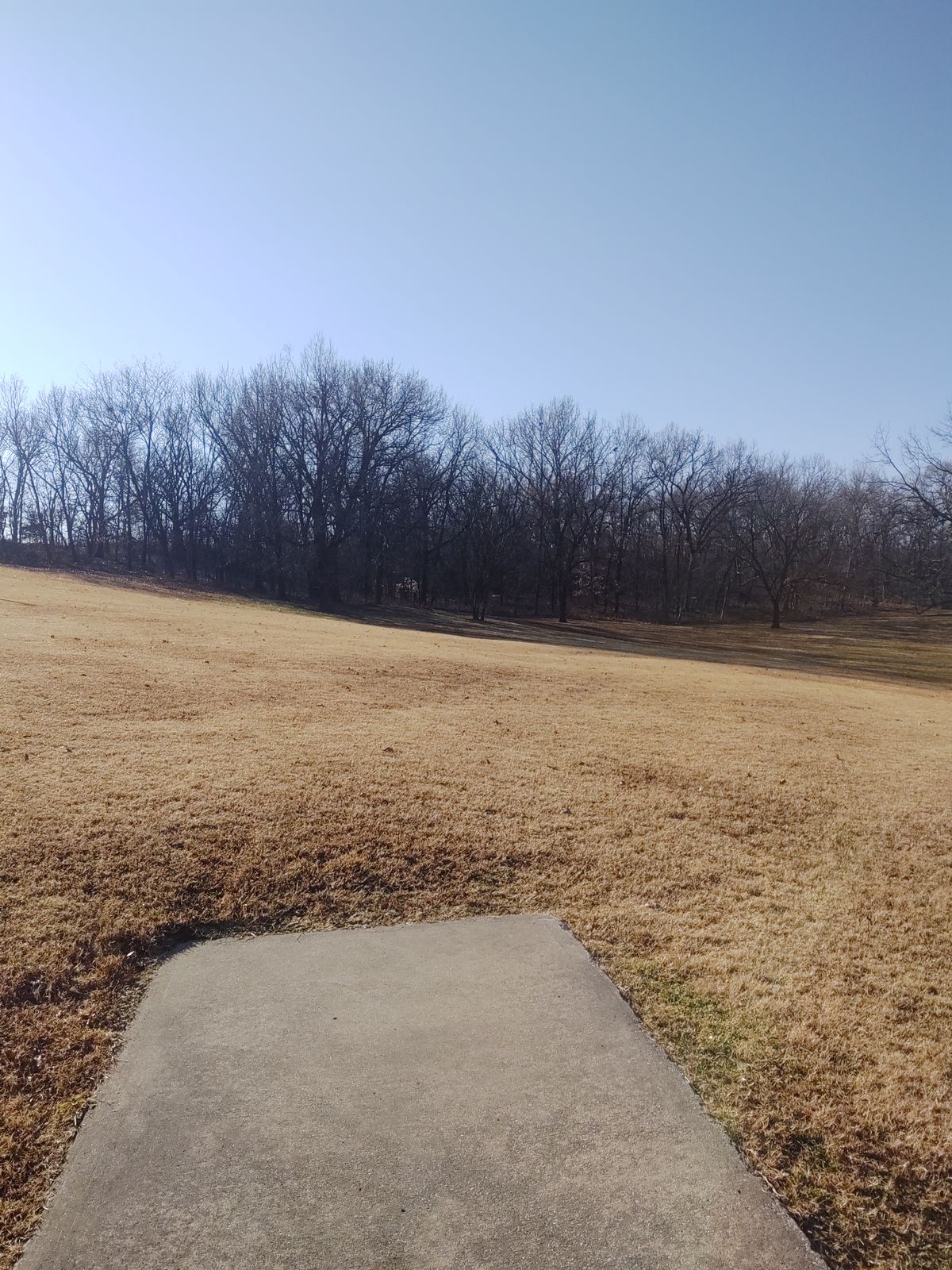 Hole 8 tee