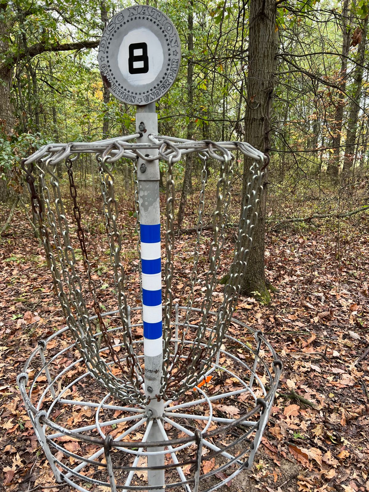 All BDGP baskets are blue & white striped.  Look for the orange arrow pointing to next tee.