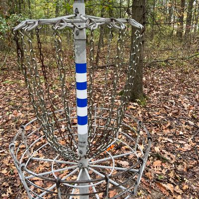 All BDGP baskets are blue & white striped.  Look for the orange arrow pointing to next tee.