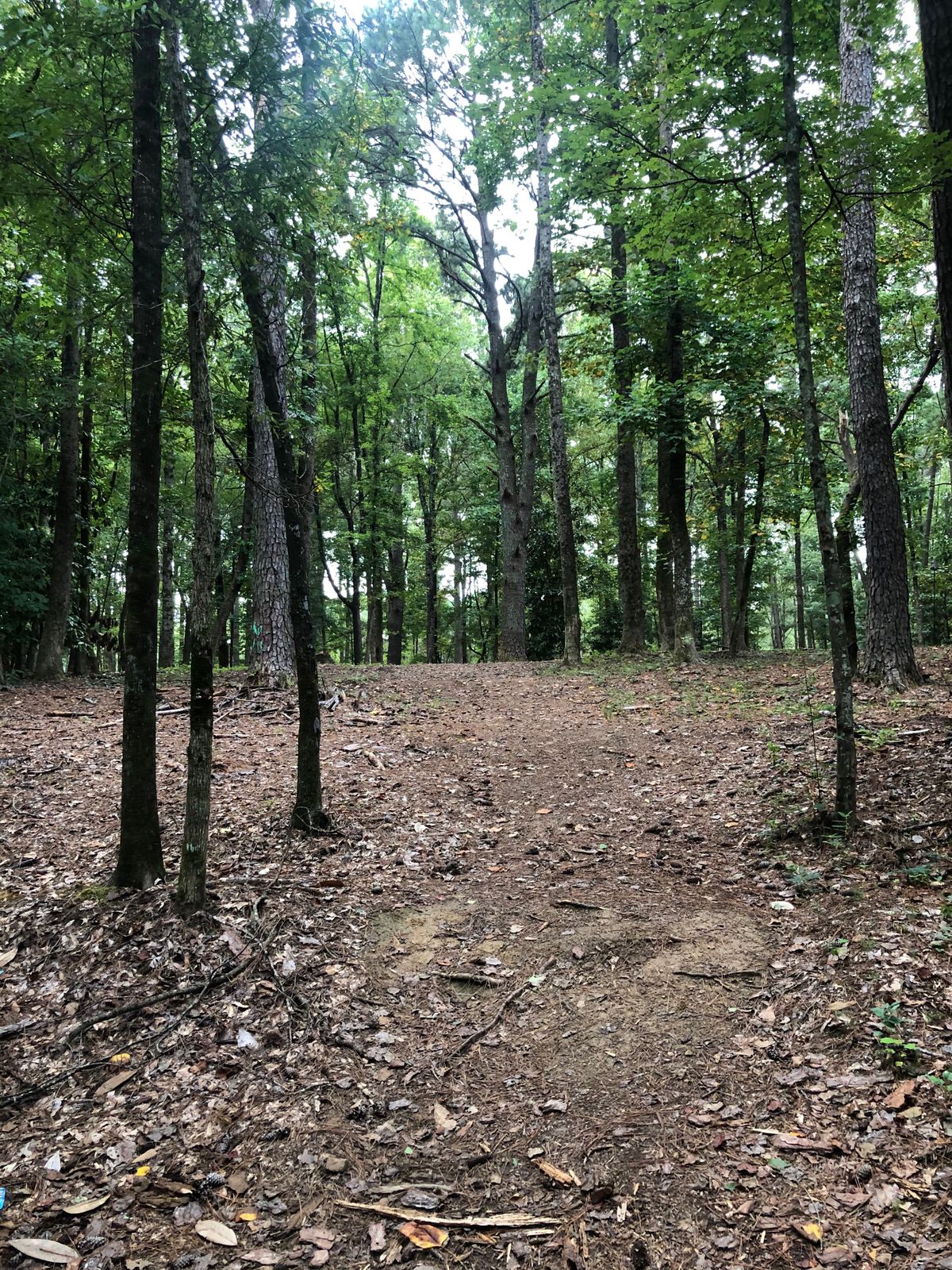 Hole 5
