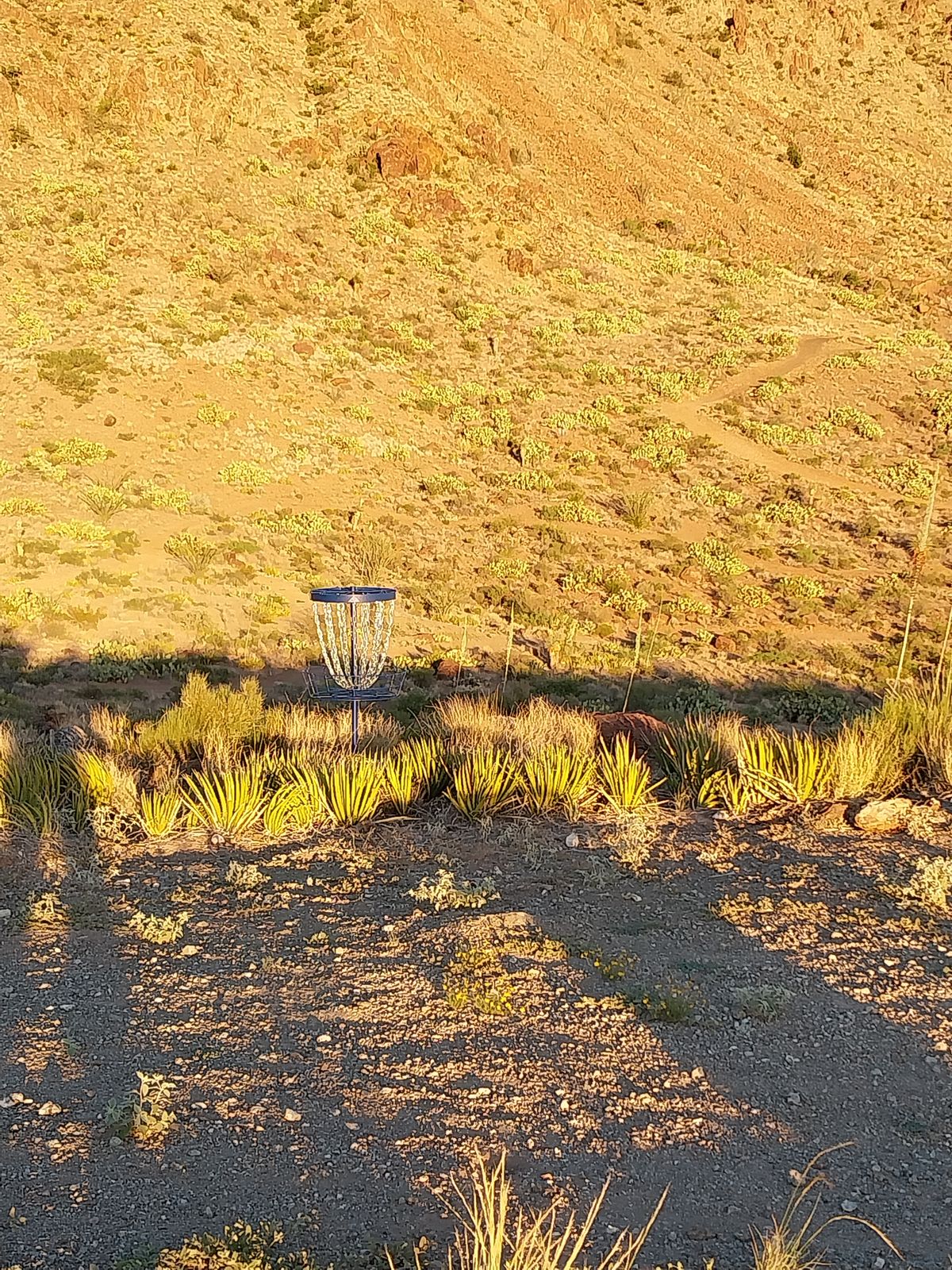 Extreme Desert Disc Golf