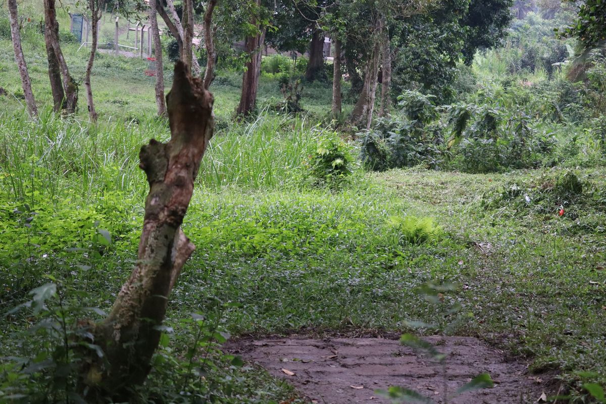 Hole 7 Tee