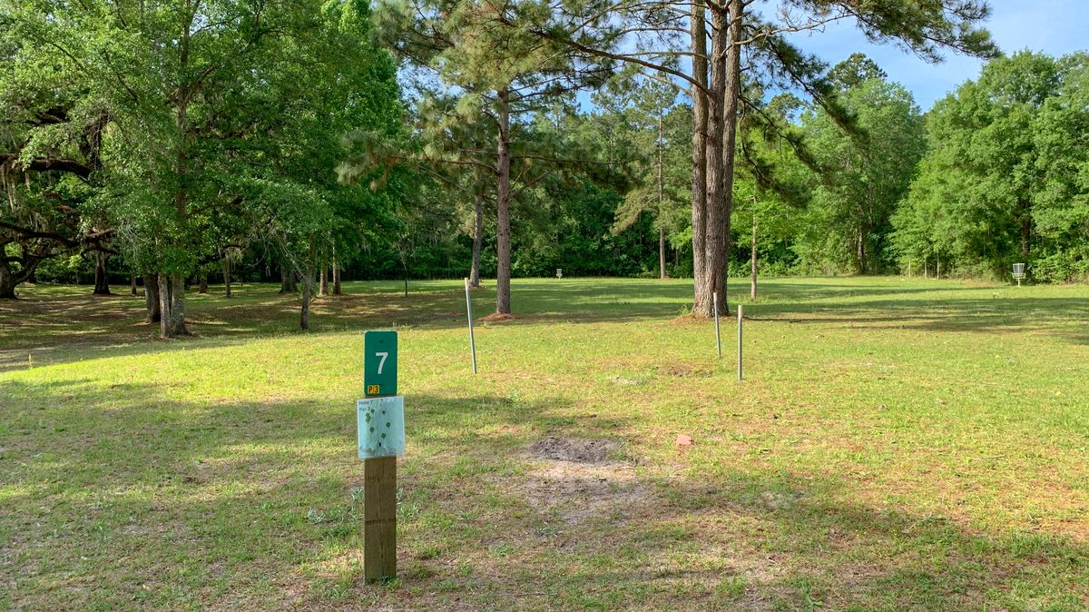 Hole 7