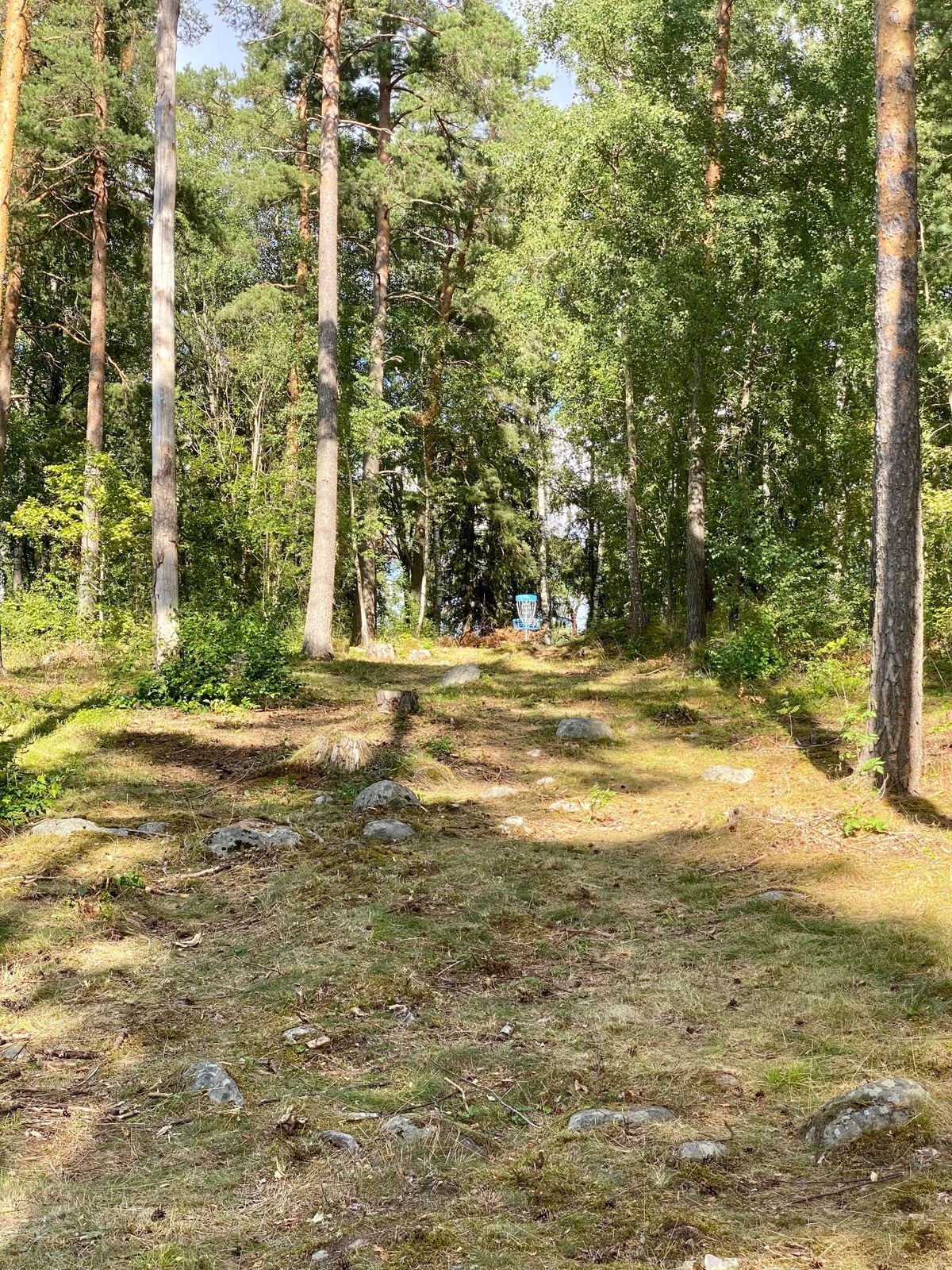 Mitt på hål 5, uppåt hela hålet