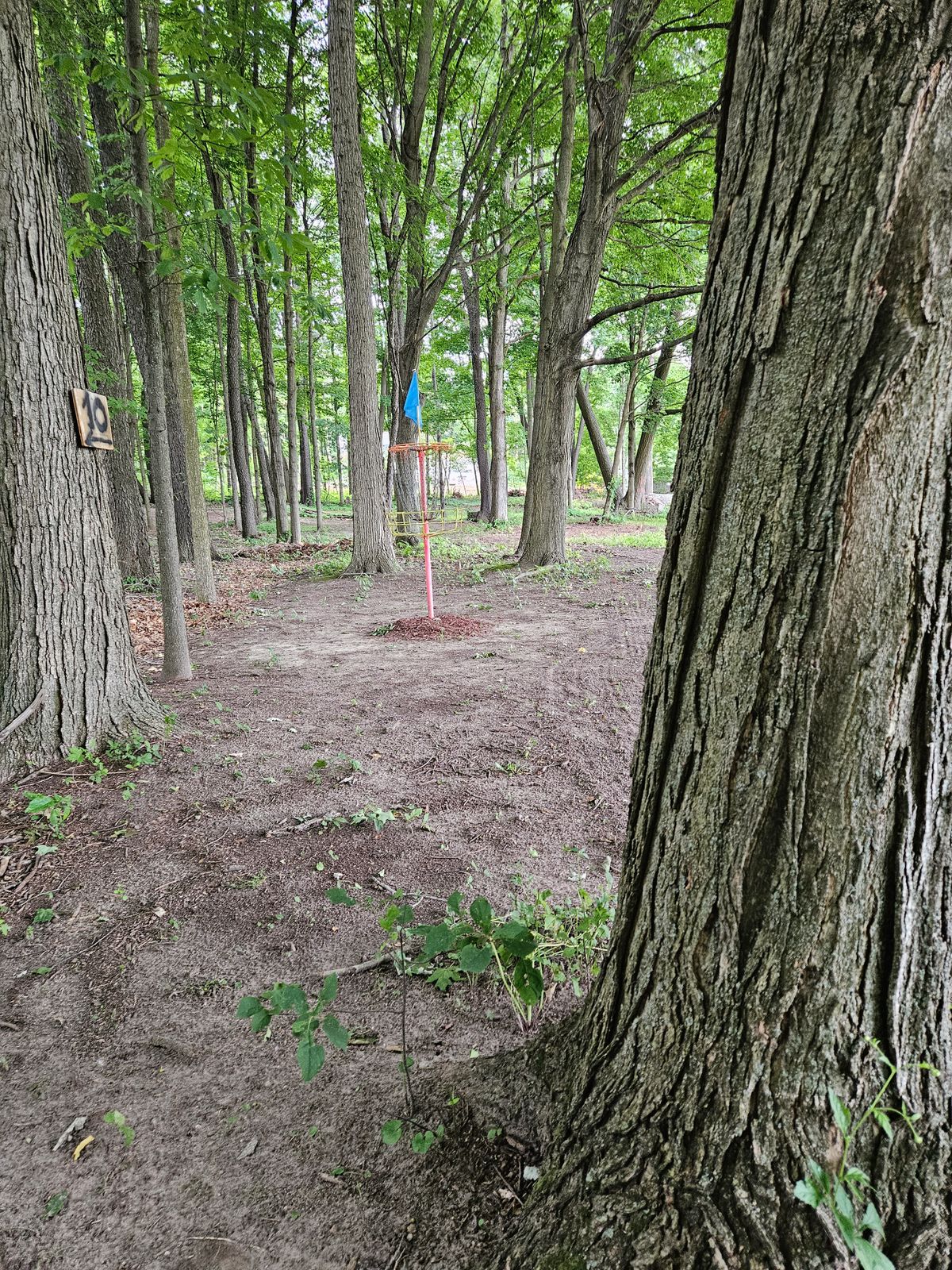 Hole 9 basket
