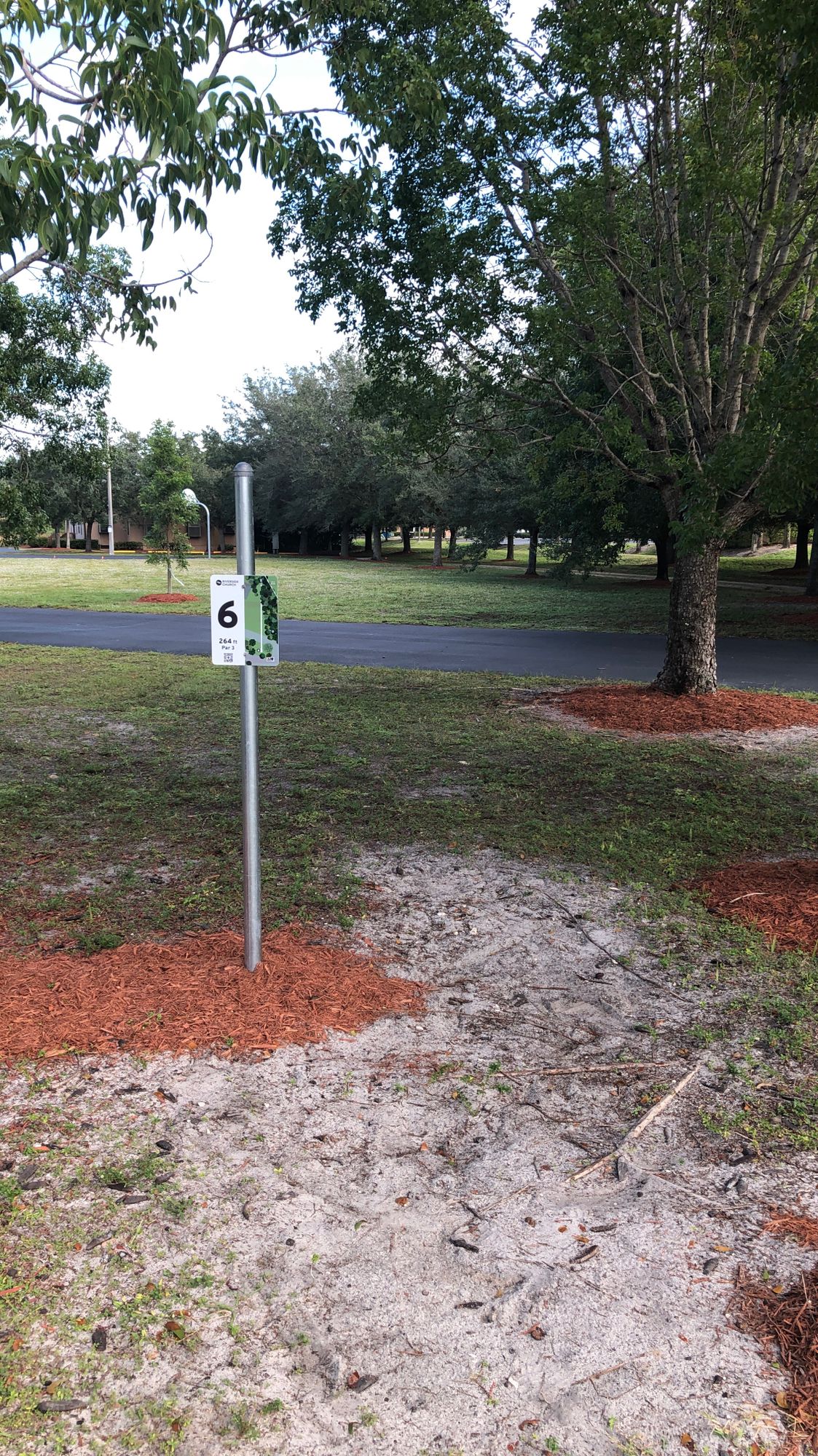 Hole 6
