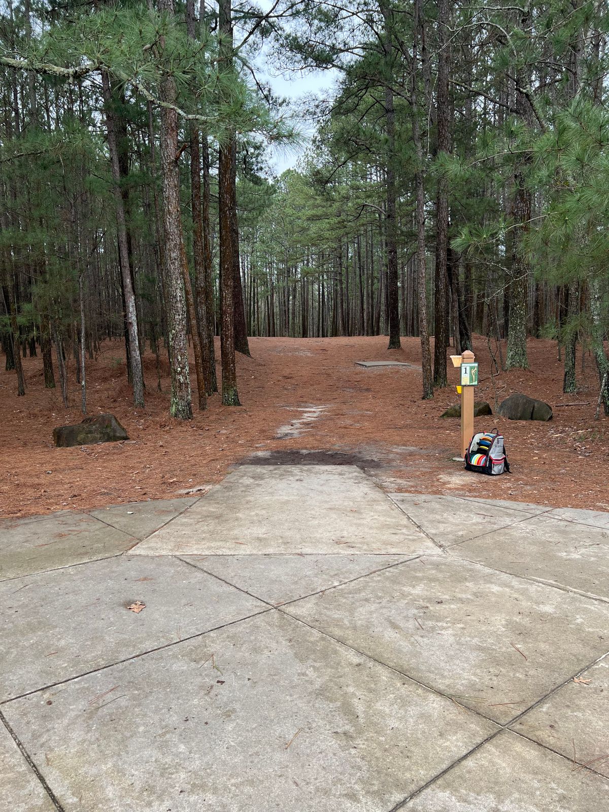 Hole 1 tee