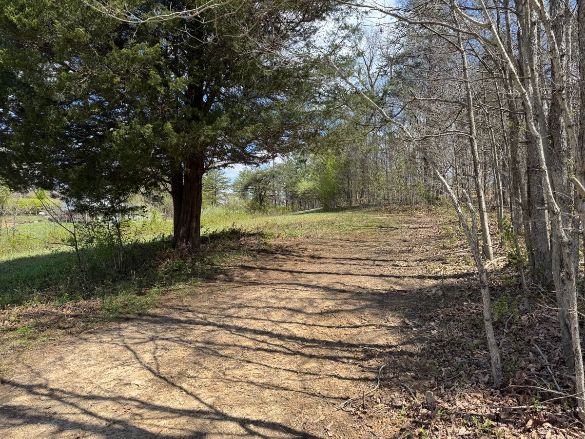 Hole 14 tee