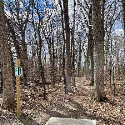 Hole 8 fairway