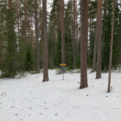 Course photo
