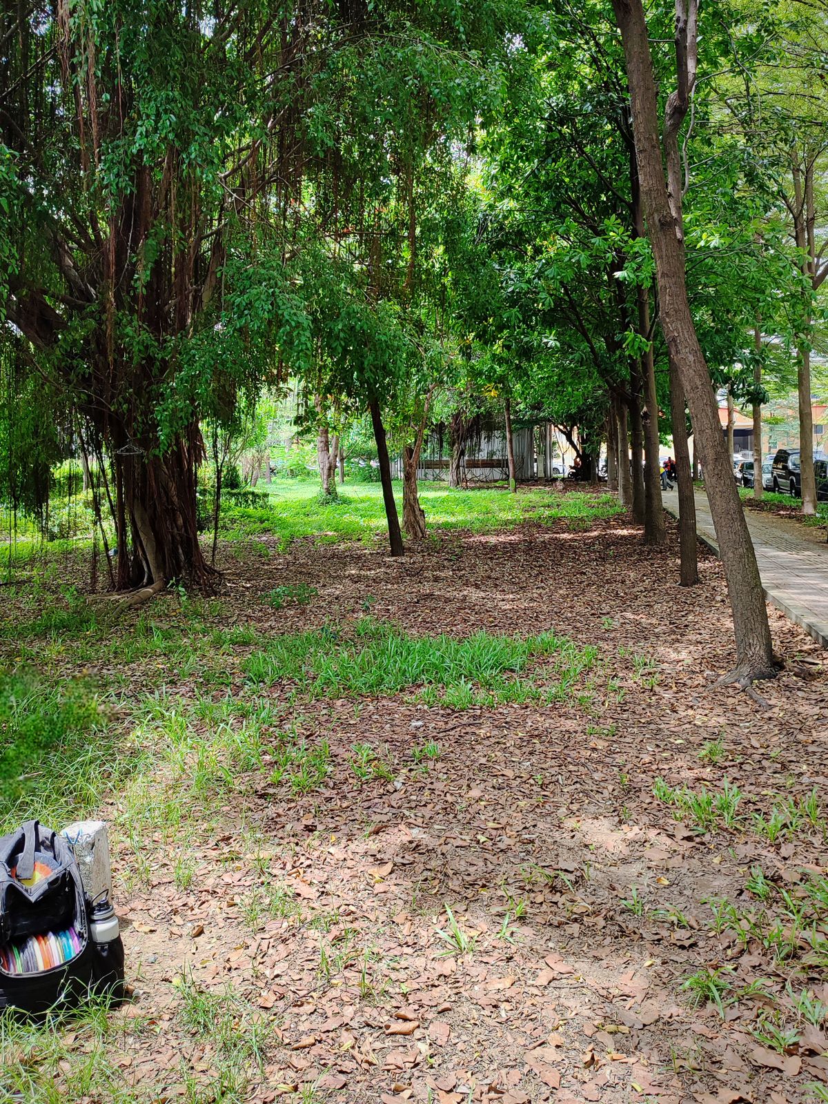 Hole 7 Tee - Nine in the Park
