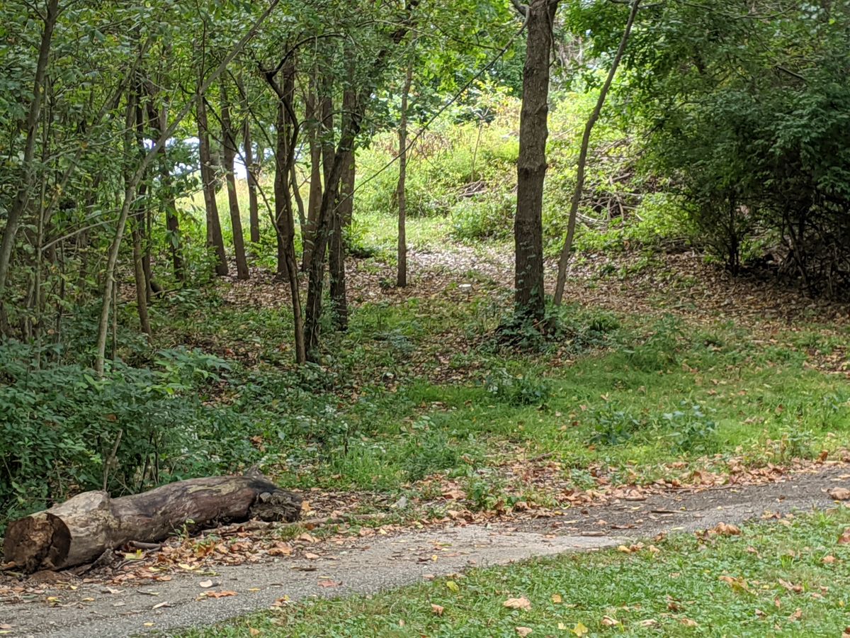 Fairway to the green of hole 9.
