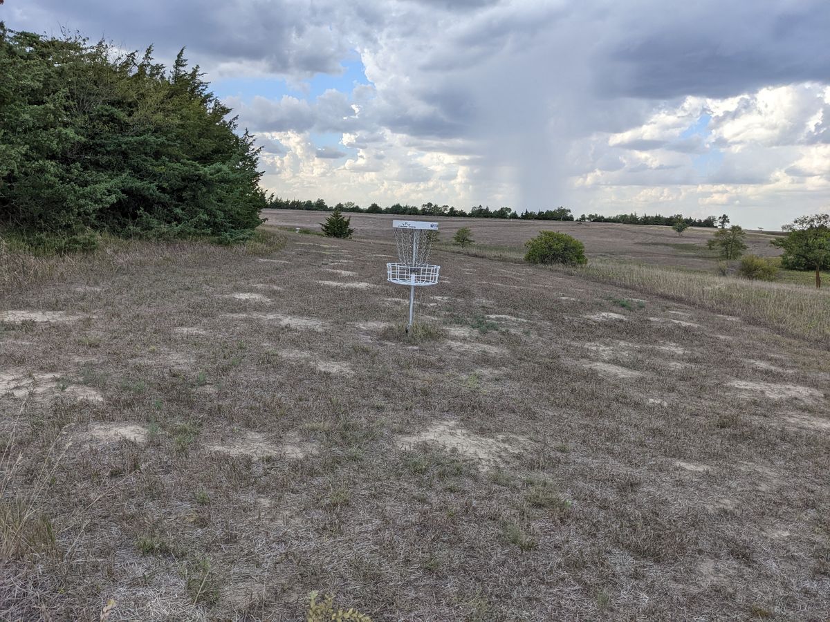 Hole 2 basket looking back on fairway