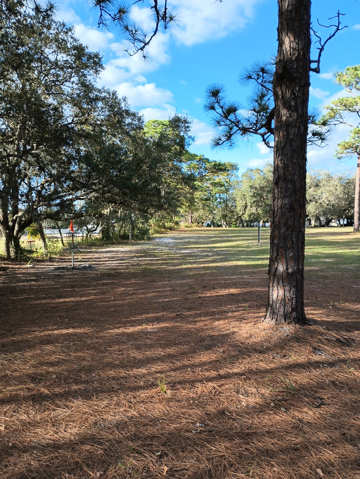 Hole 12