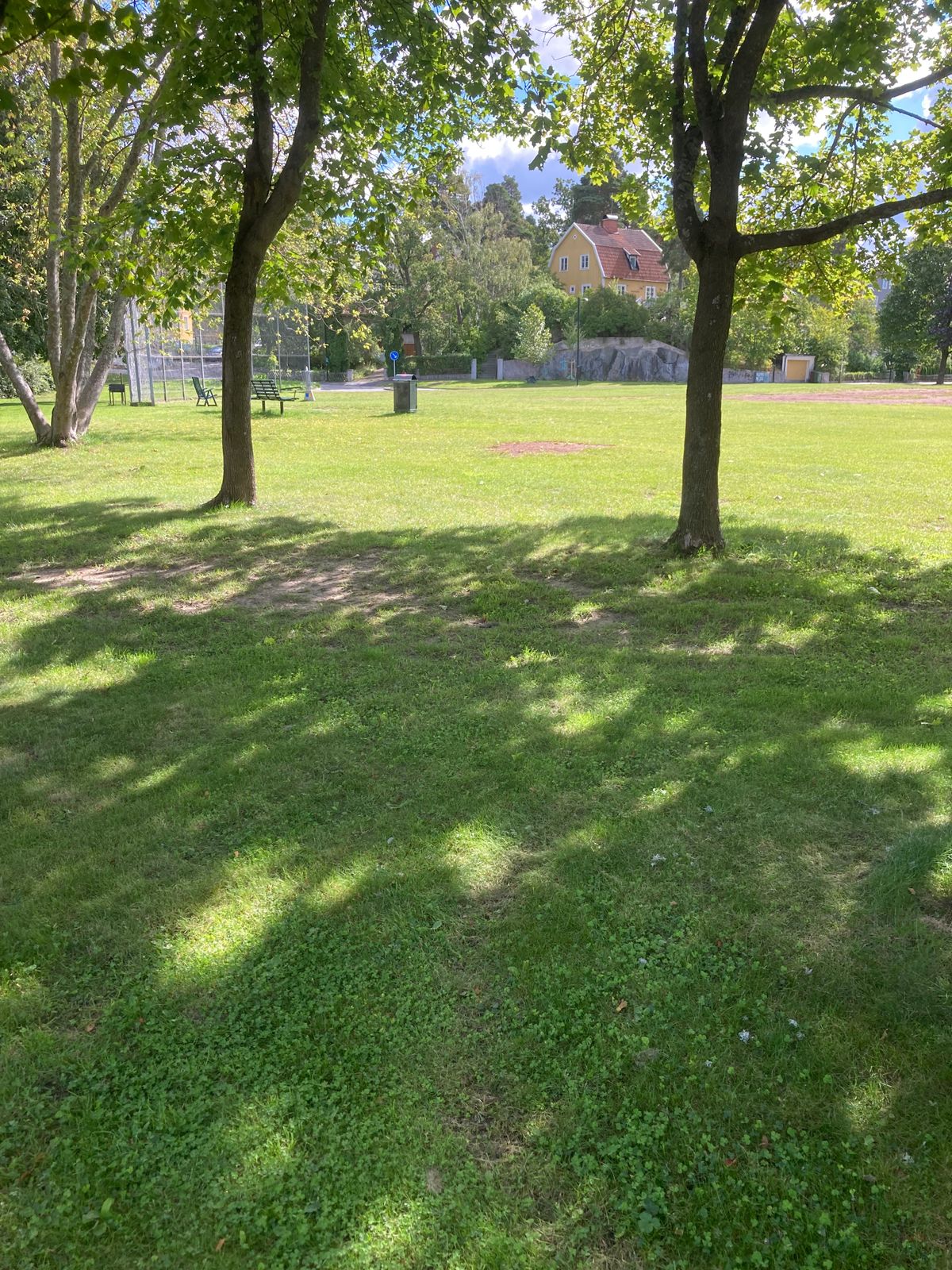 Tee 1